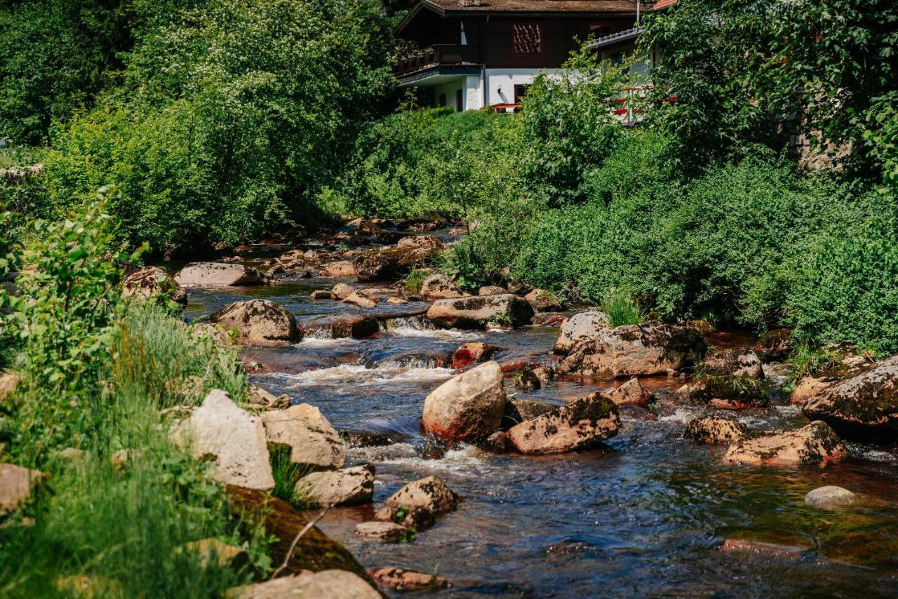 Hotel Villa Bodeblick Schierke Eksteriør billede